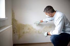 Why You Should Choose Our Mold Remediation Services in Clemson, SC